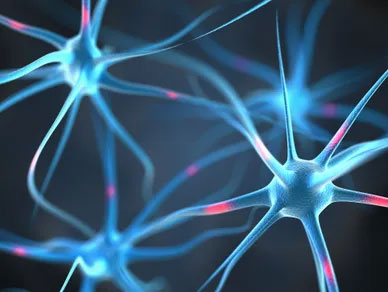Cognitive Training Programs